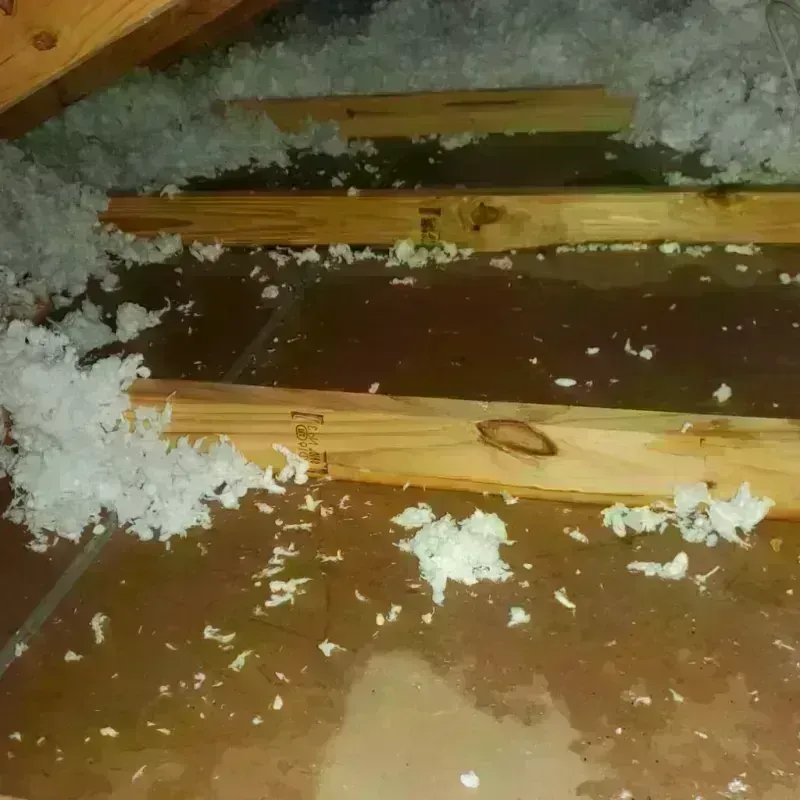 Attic Water Damage in Lebec, CA